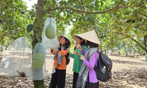 Làm gì để du lịch nông nghiệp thành thương hiệu của Việt Nam?