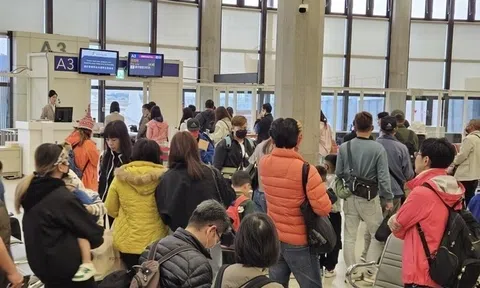 Cục Du lịch yêu cầu thêm thông tin vụ 292 khách bị bỏ rơi ở Phú Quốc