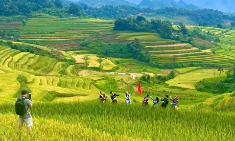 Lung linh mùa vàng trên rẻo cao Lai Châu